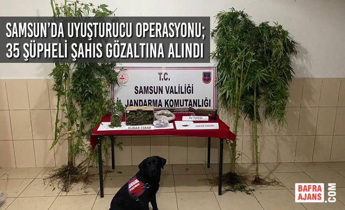 Samsun’da Uyuşturucu Operasyonu; 35 Kişi Gözaltına Alındı