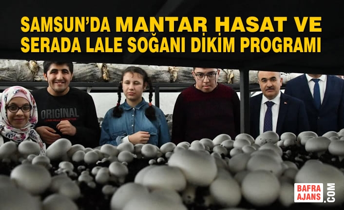 Samsun’da Mantar Hasat ve Serada Lale Soğanı Dikim Programı