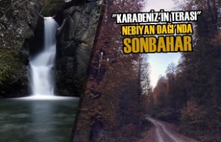 "Karadeniz'in Terası" Nebiyan Dağı'nda...