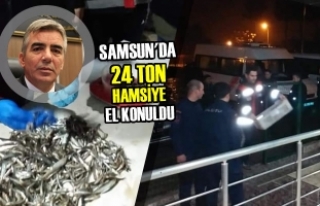 Samsun'da 24 Bin Kilogram Hamsiye El Konuldu