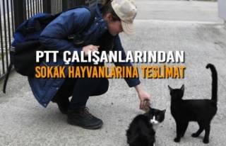 PTT Çalışanlarından Sokak Hayvanlarına Teslimat