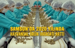 Samsun’da 2020 Yılında Hayvansal Ürün İhracatı...