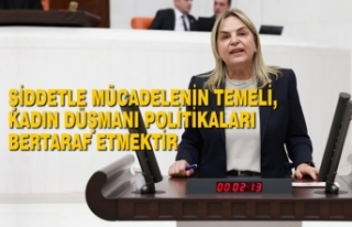 Hancıoğlu, TBMM Genel Kurulu’nda Konuştu
