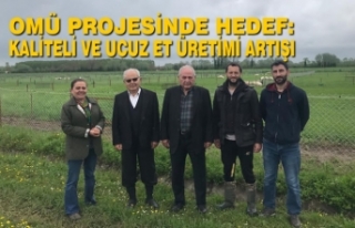 OMÜ Projesinde Hedef: Kaliteli ve Ucuz Et Üretimi...