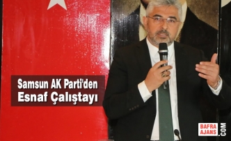 Samsun AK Parti'den Esnaf Çalıştayı