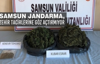 Samsun Jandarma, Zehir Tacirlerine Göz Açtırmıyor