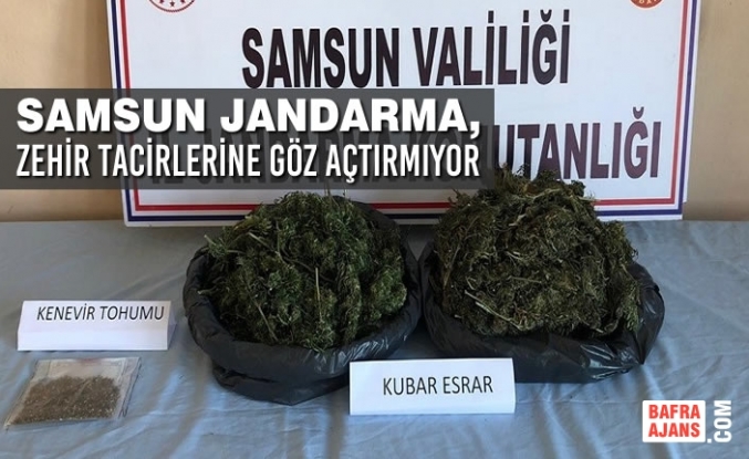 Samsun Jandarma, Zehir Tacirlerine Göz Açtırmıyor